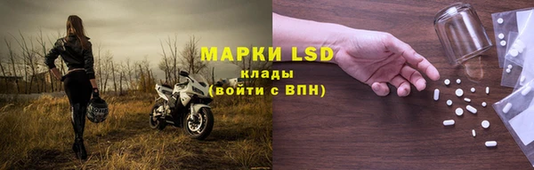 таблы Бородино