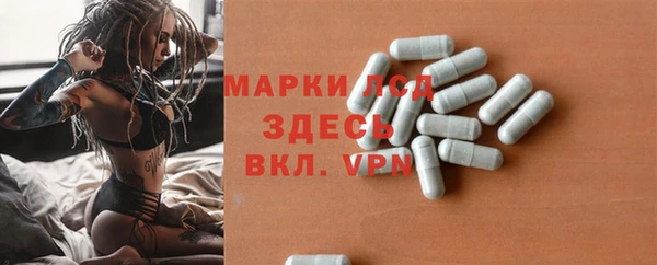 таблы Бородино