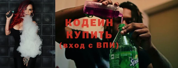 таблы Бородино