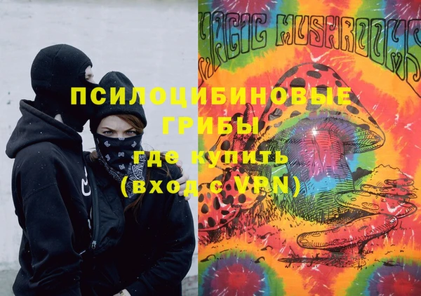 таблы Бородино